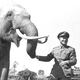 Illustration for article titled Animals That Doubled Their Expected Lifespan
